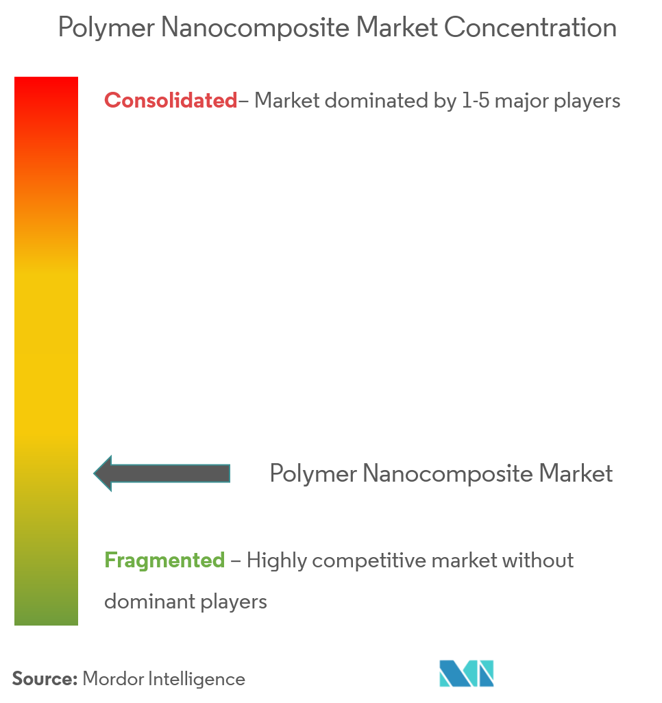 Concentración del mercado de nanocompuestos de polímeros